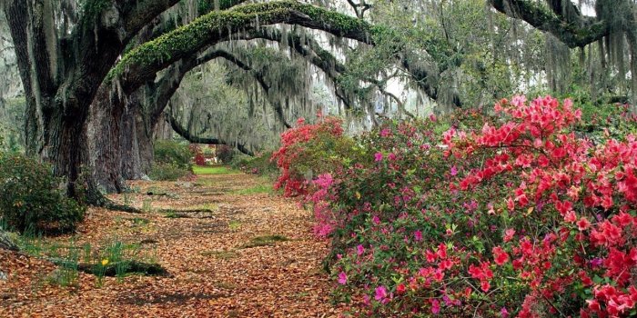 1279x1023 On A Budget Most Beautiful Nature Wallpaper Backgrounds – adaziaire.club