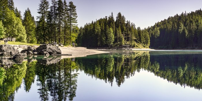 4224x2706 Nature Wallpapers Pexels Free Stock Photos Most Beautiful - Nature