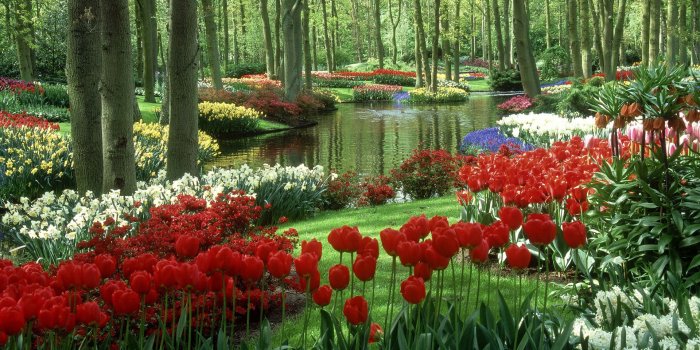 1920x1080 Beautiful Hd Nature Wallpapers: Most Beautiful Nature Hd Images