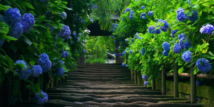 1920x1080 World Most Beautiful Nature Wallpaper - Picserio.com