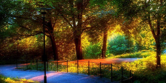 1600x1000 4333/WN Most Beautiful Nature Wallpapers