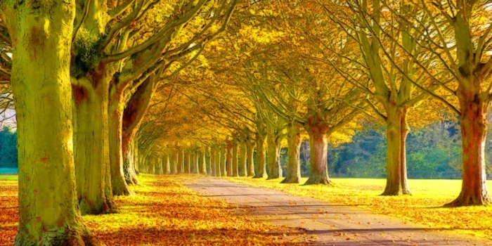 1920x1080 Beautiful Nature Scenery Wallpaper (56+ images)