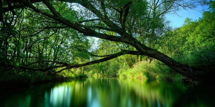 1920x1080 Most Beautiful Nature Wallpapers 1920x1080