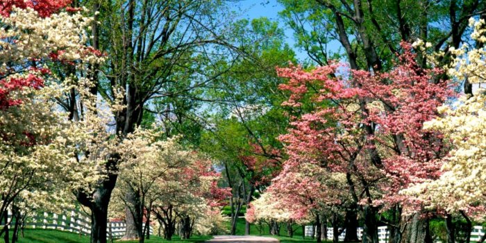 1520x950 1520x950 px Resolution World Most Beautiful Nature Wallpaper