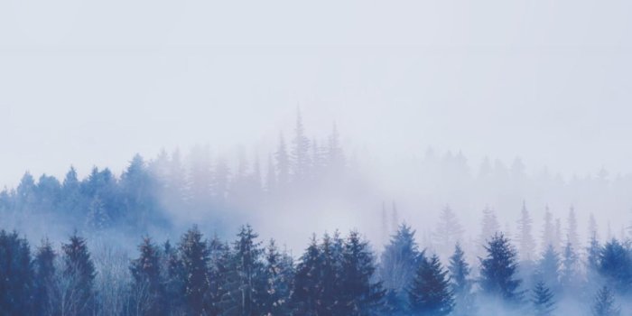 1629x1086 Bts wings wallpaper desktop Gallery