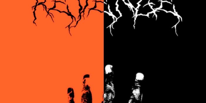 1075x1920 Revenge half wallpaper. Also have black and orange seperate, check