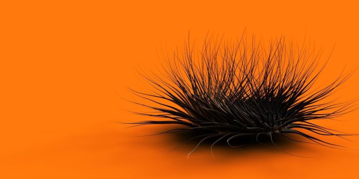 1440x900 Black And Orange Wallpapers HD