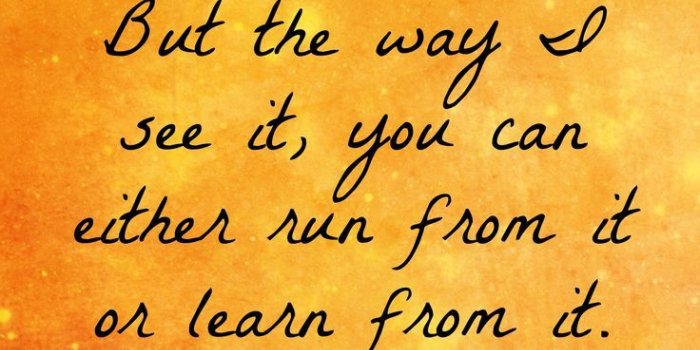 736x1153 The Lion King Quotes (103+ images in Collection) Page 1