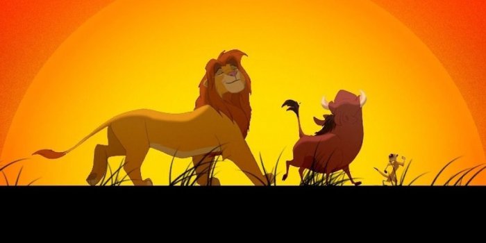 1082x1920 Hakuna #Matata - No Worries! From #iPhone 5 #Lifeline #Wallpaper