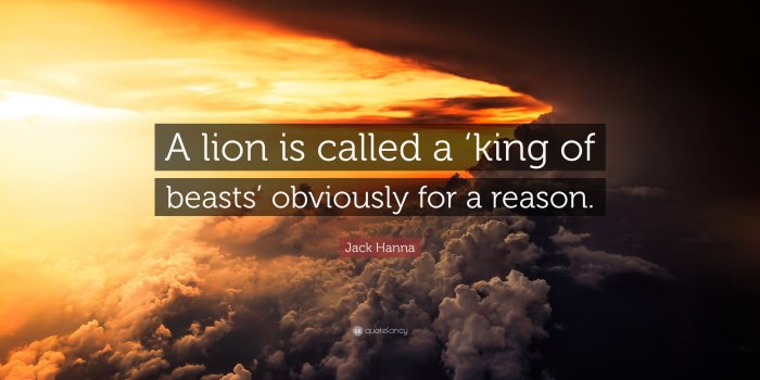 3840x2160 Jack Hanna Quote: “A lion is called a 'king of beasts' obviously for