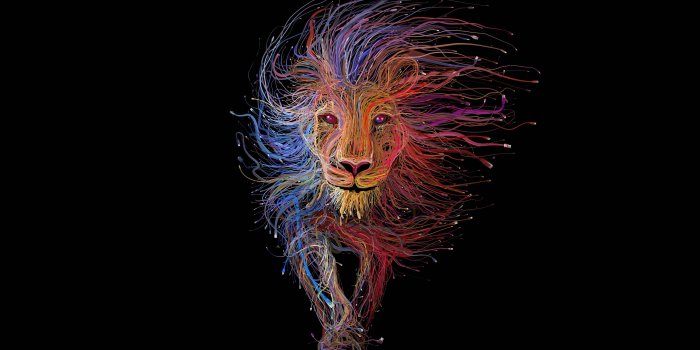 3840x2160 Lion King [4096 x 2304] : wallpapers