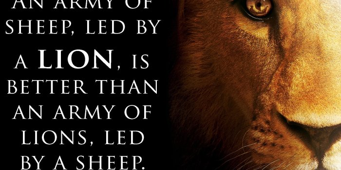 1920x1200 An Army Of Sheep Led A Lion Is Better Than An Army - Lion Wallpaper