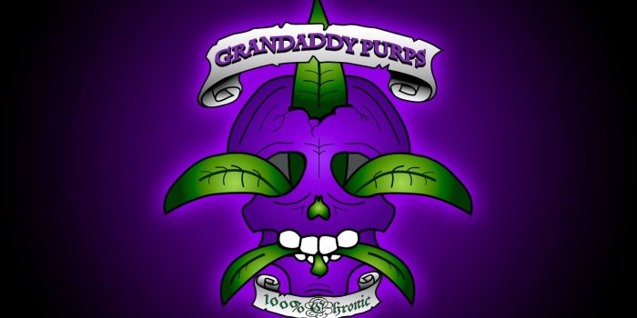 1366x768 49+] Purple Kush Wallpaper on WallpaperSafari