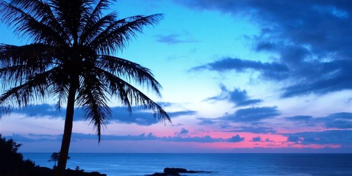 1024x768 Ocean Sunset With Palm Trees HD Wallpaper, Background Images