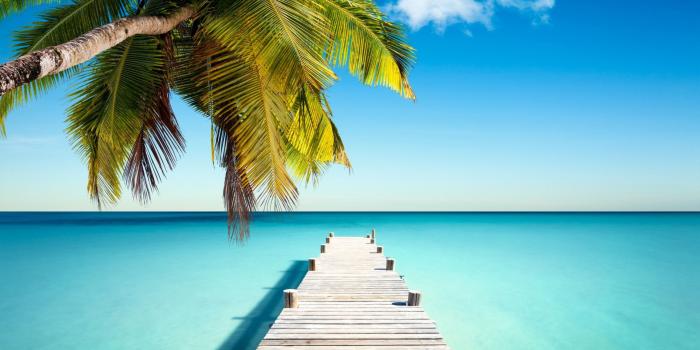 2560x1600 Palm Tree, Boardwalk and the Ocean widescreen wallpaper | Wide