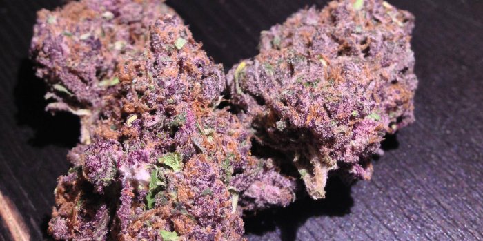 2438x1709 Stoner Guide | Top Five Indica Strains