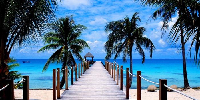 1920x1080 50+ Ocean Palm Tree Wallpapers - Download at WallpaperBro