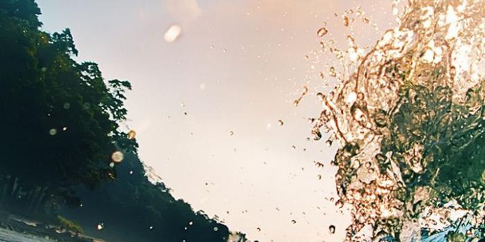 720x1520 Waves Sea Ocean Beach Palm Trees Wallpaper - [720x1520]