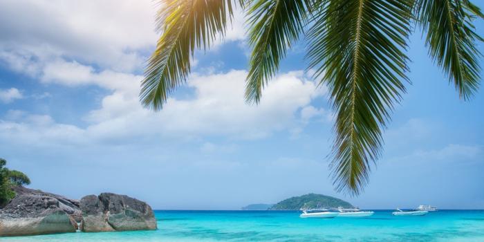 1920x1200 Boats near the rocky island viewed from under a palm tree wallpaper