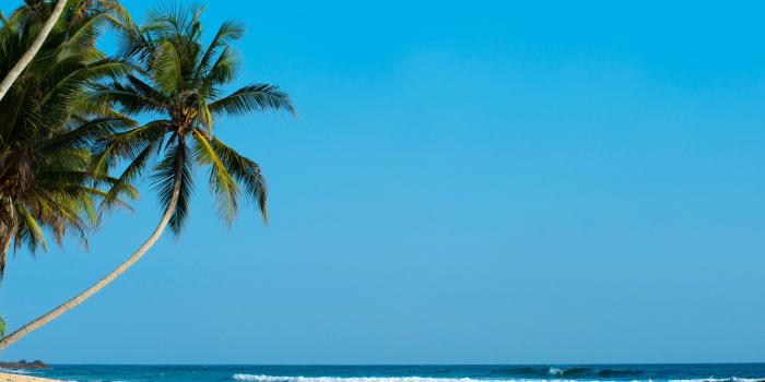 3840x2400 Download wallpaper 3840x2400 palm, palm trees, beach, tropics, shore