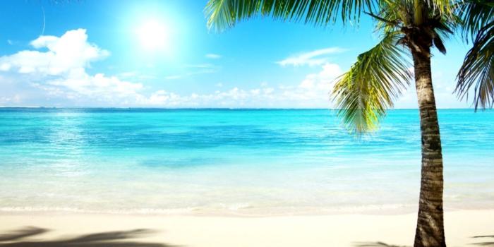 1297x706 Beach Wallpaper Palms | This Wallpapers