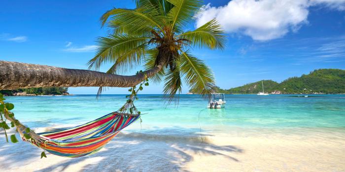 3156x1801 5090835 Earth, Hammock, Turquoise, Sea, Beach, Palm Tree, Tropical