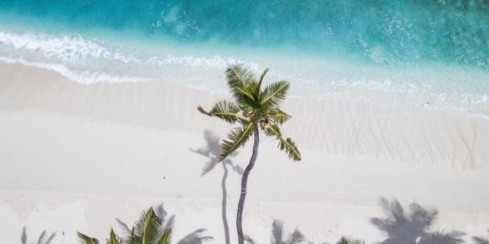 1600x1200 Download wallpaper 1600x1200 ocean, palm trees, aerial view, coast