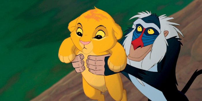 1800x1069 Download Lion King Pictures Wallpaper HD Wide