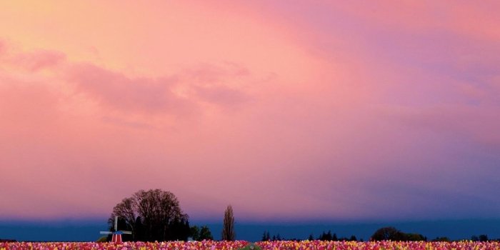 1080x1920 Sky Wallpaper Nature For Facebook Cover Page Desktop - Lock Screen