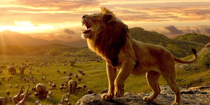 1920x1080 The Lion King Movie Wallpaper | HD Wallpapers