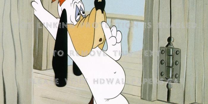1024x768 droopy old white classic cartoon quiet dog
