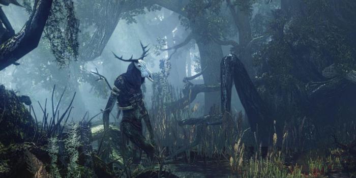 1920x1080 The Witcher 3: All Velen Witcher Contracts - Jenny 'O the Woods