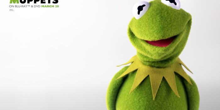 1920x1200 41+] Kermit the Frog Wallpaper on WallpaperSafari