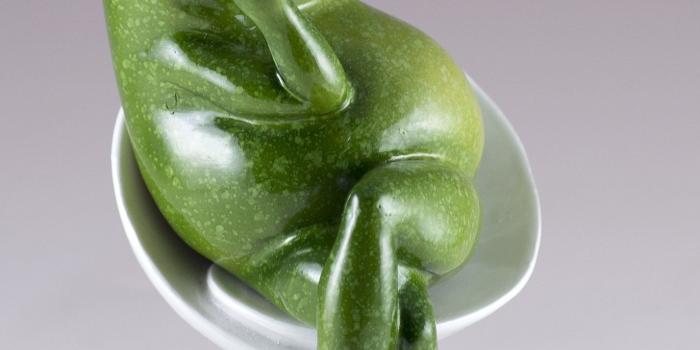 1428x2567 Frog Taking Selfie Picture With Phone Figurine 7.25 | Kermit | Frog