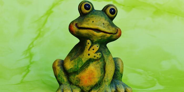 6016x4000 Frog, Kermit, Alcohol, Wine, Drink, bottle, wine bottle free image