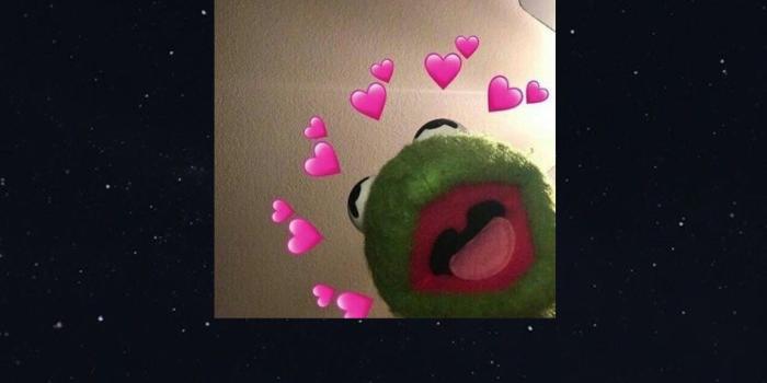 1440x2560 Špela on •wallpaper• | Frog wallpaper, Hypebeast wallpaper