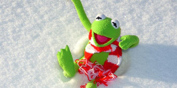 4000x3000 Kermit the Frog 1080P, 2K, 4K, 5K HD wallpapers free download