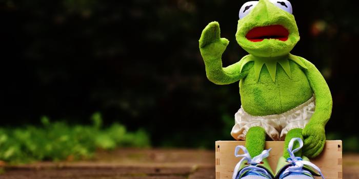 5607x3747 Free stock photo of bank, cute, frog