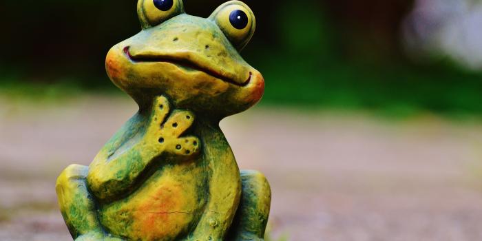 4512x3000 Frog, Fig, Funny, Green, Animal, Cute, focus on foreground, no