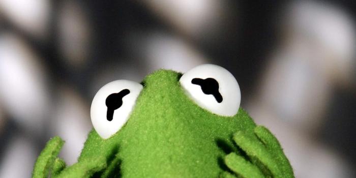 1680x1050 Free download Kermit the frog muppet show wallpaper 102637