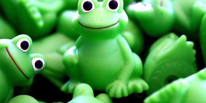 1152x864 Download Frog Wallpaper (68+) - Free Wallpaper For your screen.