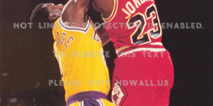 1020x2063 slam dunk basketball los angeles lakers michael jordan chicago bulls