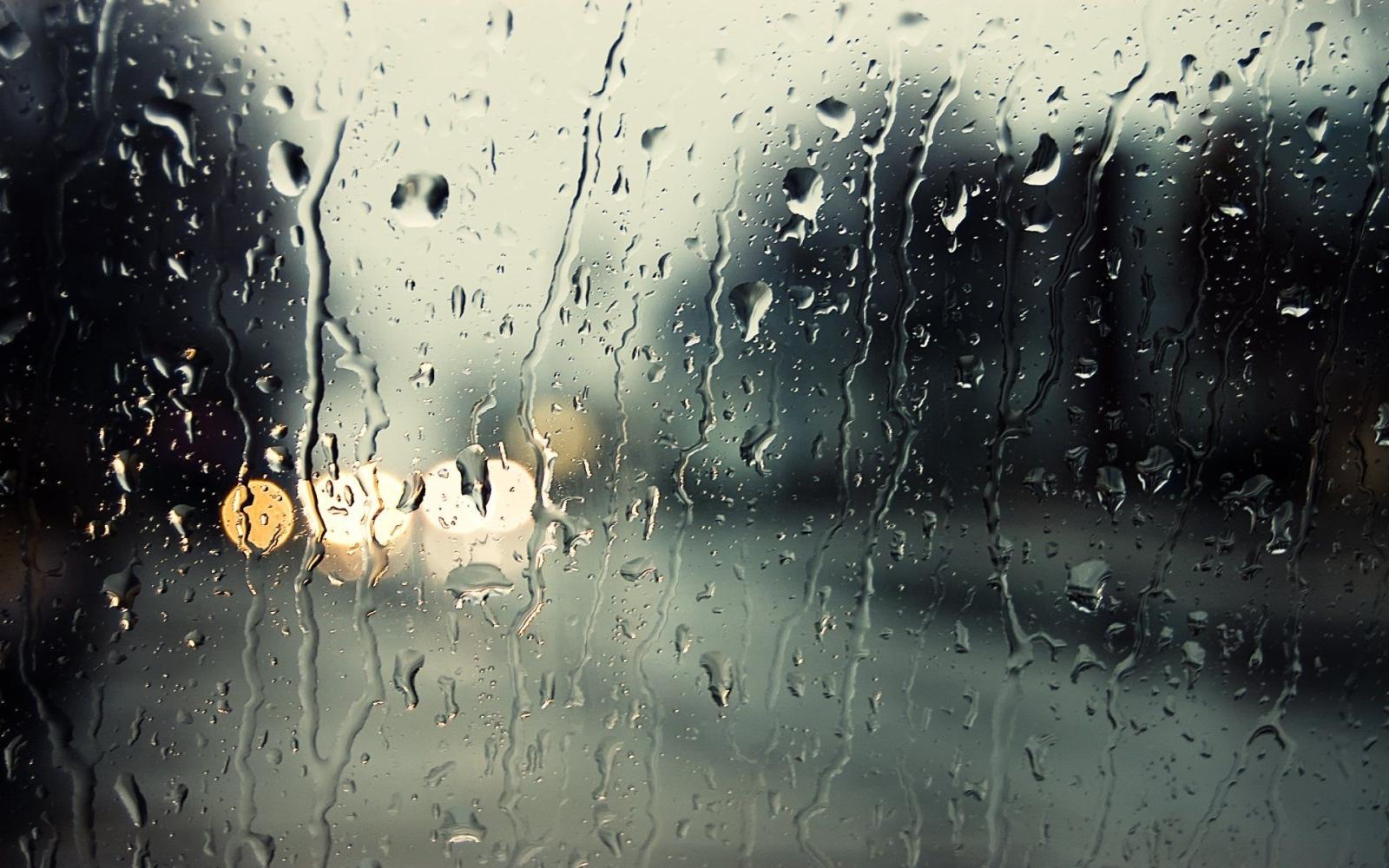 1920x1200 773 Rain HD Wallpapers | Background Images
