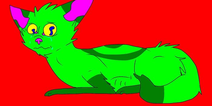 1131x707 Bart Capital Transparent & PNG Clipart Pictures Free Download