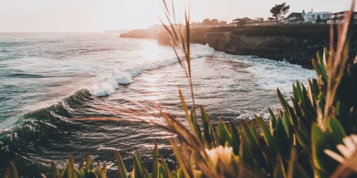 1000x800 Https://www.instagram.com/simon__shim/ | HD photo by Simon Shim