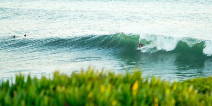 1500x1001 Cowells Surf Report, Live Surf Cams & 17-Day Surf Forecast - Surfline