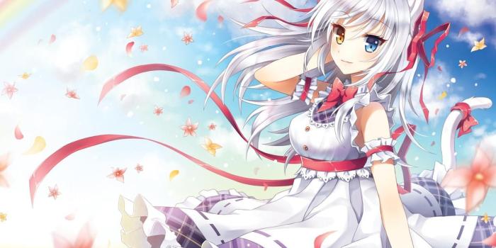 1280x960 Cat Girl Wallpapers | New HD Wallpapers | Anime in 2019 | Anime cat