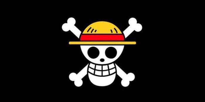 736x1160 Logo One Piece Wallpapers