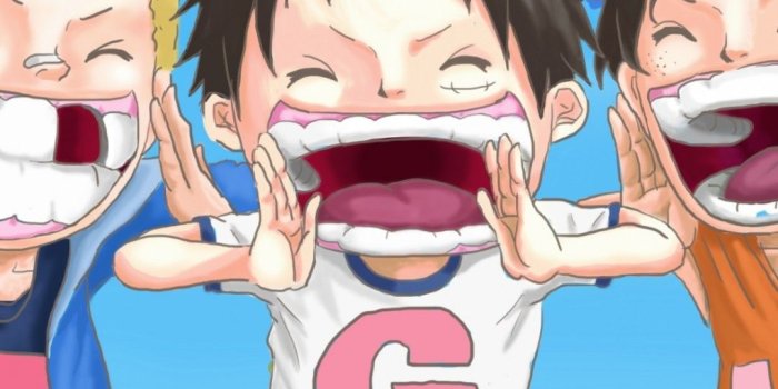 1080x1920 Download 1080x1920 One Piece, Monkey D. Luffy, Sabo, Portgas D. Ace