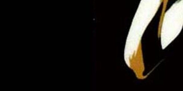 720x1280 Luffy Wallpaper Iphone - (49+ images)